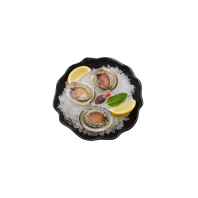 Greenlip Abalone 500g