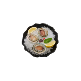 Greenlip Abalone 500g